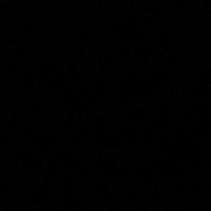 Meet your Posher, Antonio